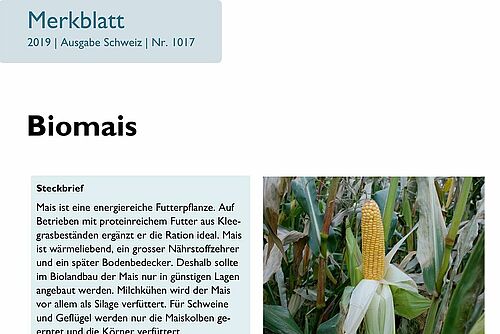 Titelseite des Merkblattes «Biomais»