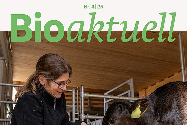 Titelseite Bioaktuell 4|25: Eine Frau verabreicht einem Kalb Kamillentee.