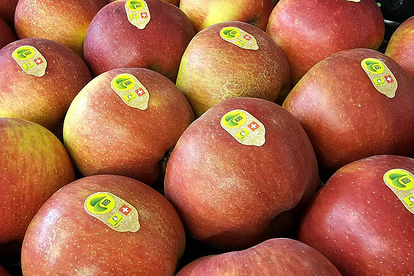 Äpfel mit Bioaufkleber.