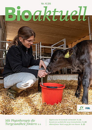 Titelseite Bioaktuell 4|25: Eine Frau verabreicht einem Kalb Kamillentee.
