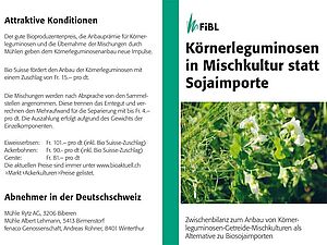 Titelseite des Flyers